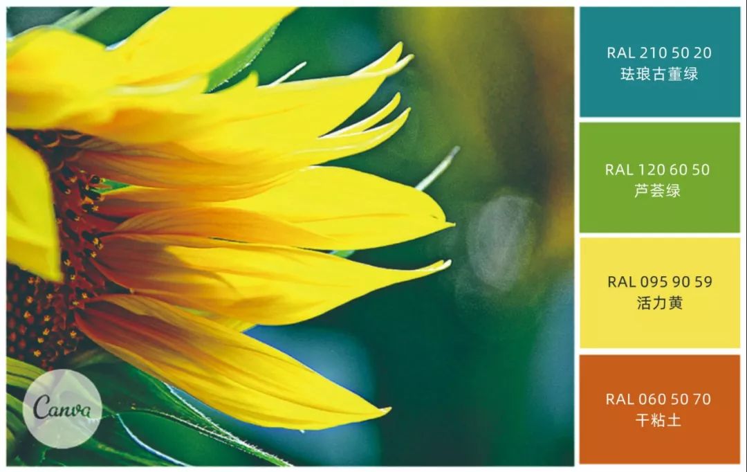 巧妙的颜色组合大自然篇