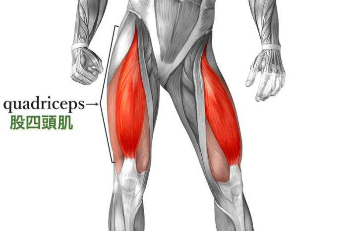 运动膝盖疼可能是你股四头肌不够发达几个动作改善股四头肌