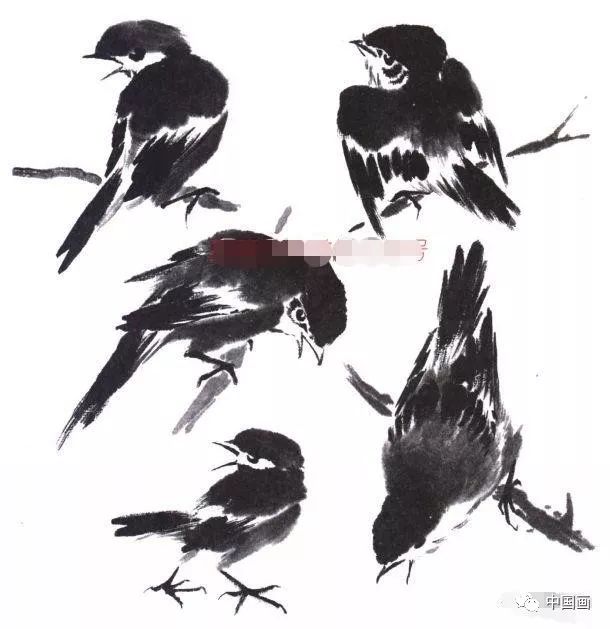 水墨写意花鸟画基本画法图文教程,写意鸟类的画法和步骤详解!