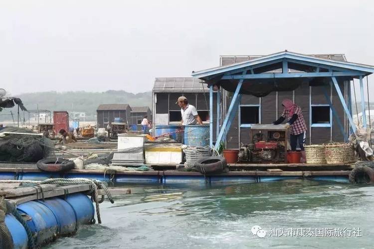 惬意暑价美食美景相伴138元潮味薄壳米宴美食饶平汛洲岛海上人家游船