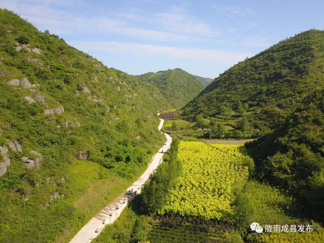 盛夏时节笔者一行沿成西公路驱车半小时穿过成县沙坝镇沙坝村进入沙坝