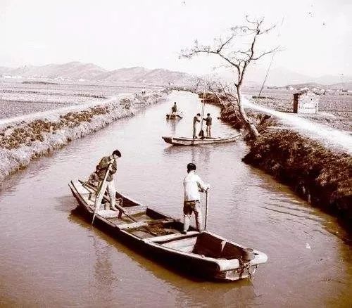 暴露年龄的问题来了慈溪人你知道捻河泥是什么吗