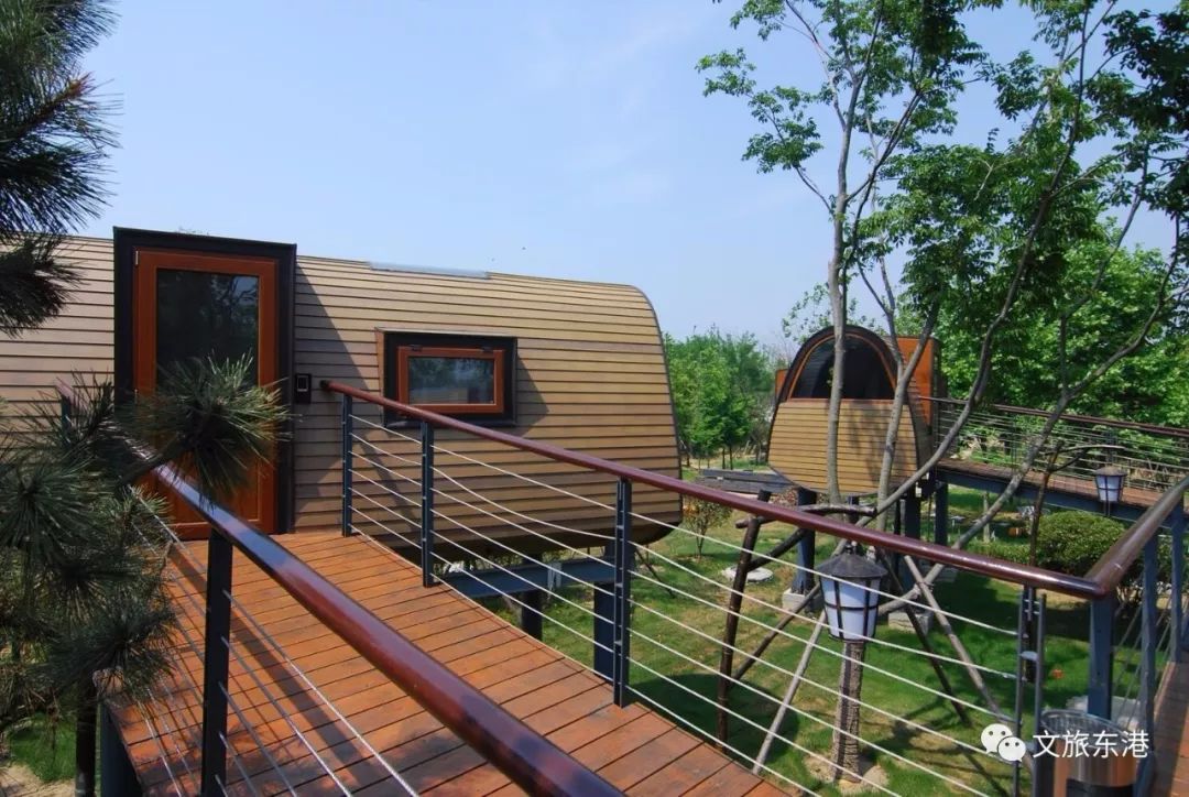 这对情侣在东港独特的自拍照一不留神就火遍了整个网络