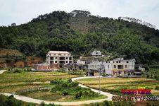 90后"山鸡哥"走上养殖路 打开致富门_岑溪市