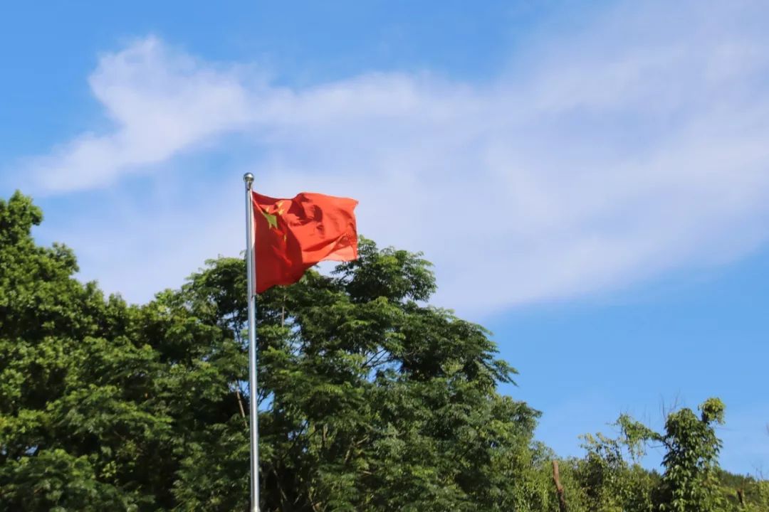 三下乡专题︱兽医学院赴广东省云浮市国防义教连实践调研团