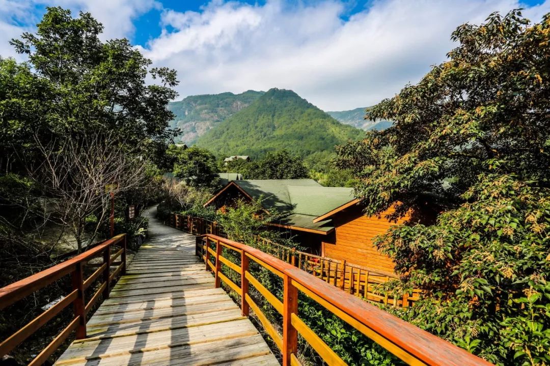 森林美墅丨$399限时抢莆田九龙谷木屋观景别墅套餐在山的怀抱里温习