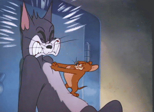 500_363gif 动态图 动图