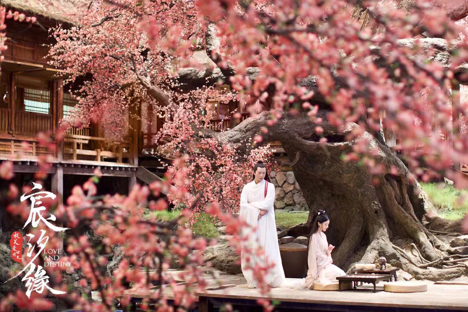 原创宸汐缘口碑逆袭超越亲爱的热爱的凭三处亮点出奇制胜