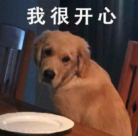 委屈的表情包合集不要说了要落泪了