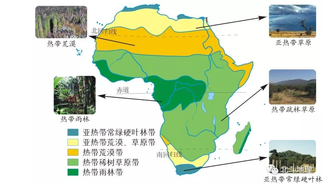 非洲自然带分布成因图片
