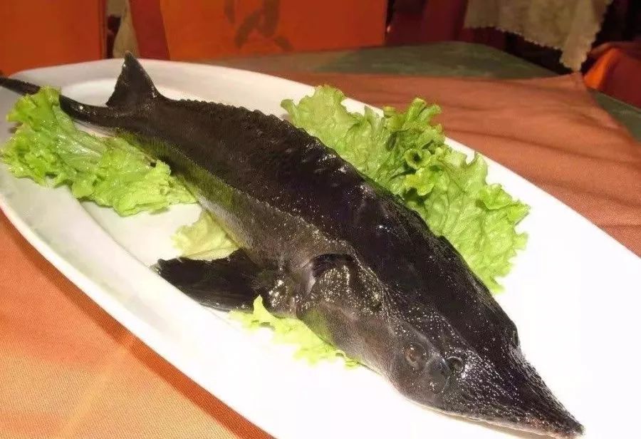 里面养着各色长江生态鲜鱼,有清江鮰鱼,中华鲟,野生江鲶,松花鱼,荆沙