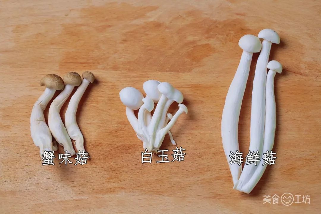 菌菇创意菜名图片