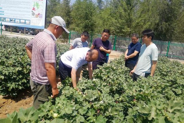 州农业农村局党组书记郭怀安到园区调研
