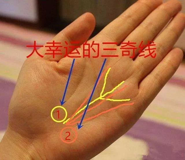 >>>>拥有三奇纹的人三奇纹这一手相特征确实能够体现出其人所具有的