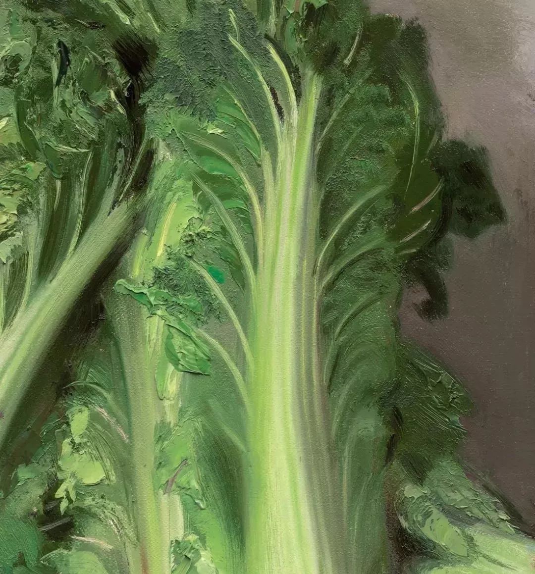 冷军评价他画的白菜是天下第一白菜真实到无可挑剔