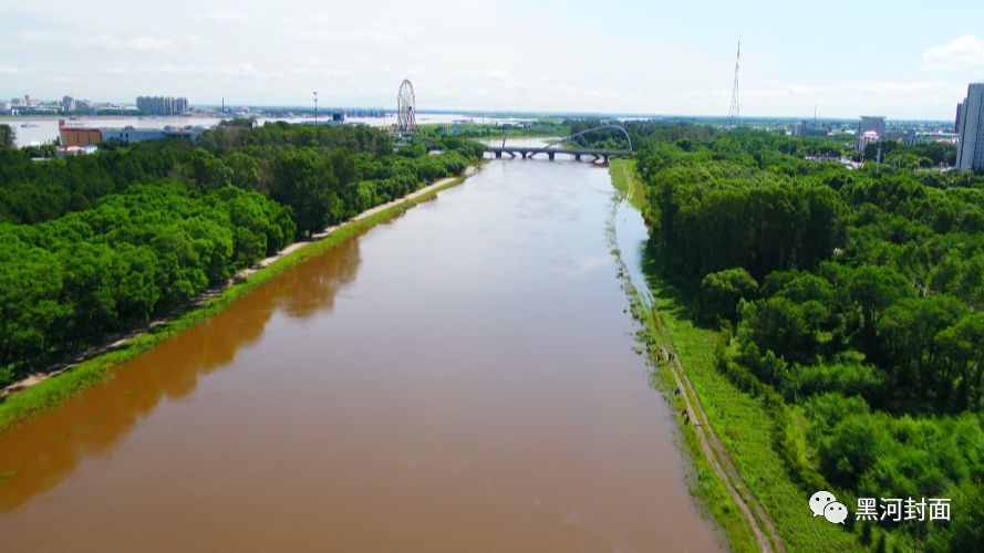 高清航拍74黑龙江干流水位上涨黑河大岛植物园又进不去了