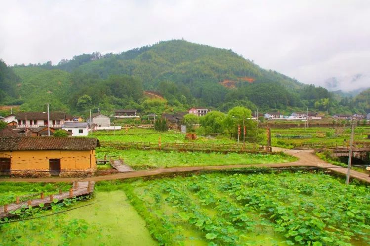 又要火火火火了龙泉宝溪乡溪头村入选首批全国乡村旅游重点村