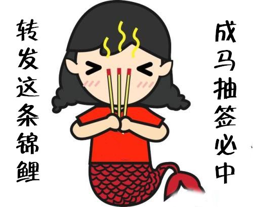 成马没中签不要方遂宁马拉松报名通道全面开启