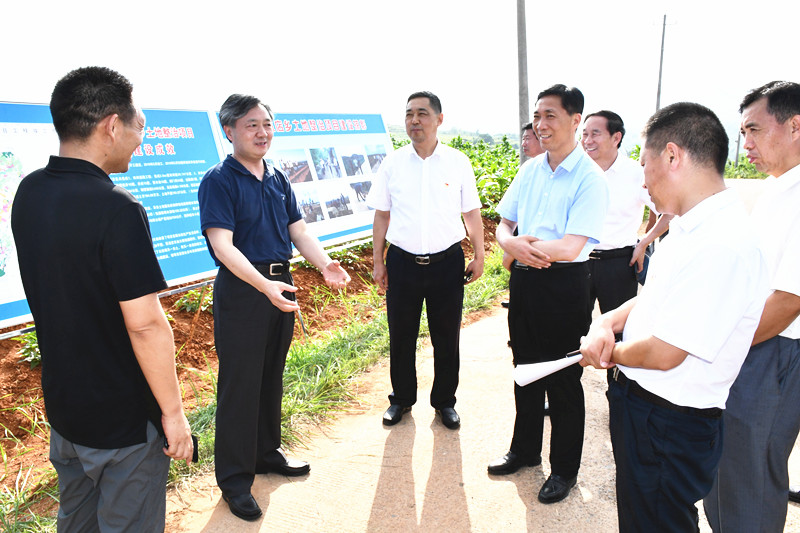 国家自然资源督察济南局局长田文彪到我县调研指导耕地保护工作