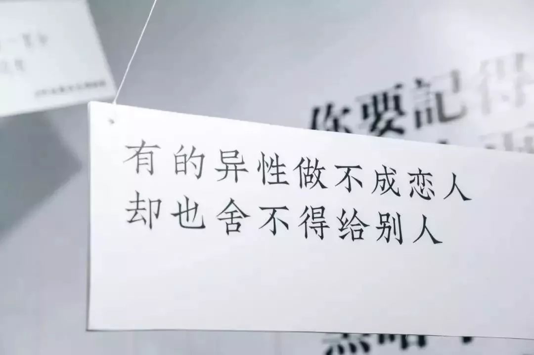免费送门票刷爆抖音的失恋博物馆来平阳啦