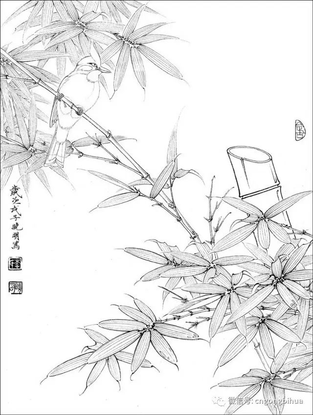 工筆素材丨工筆花鳥白描喜歡快收藏