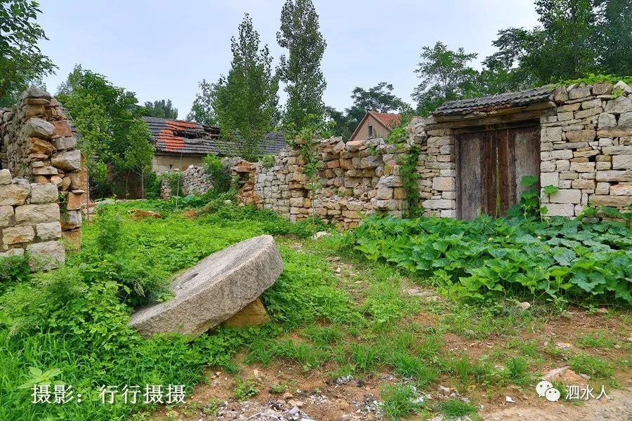 纪实随拍最近山东泗水这个小山村因此出名了今天带你去看一下