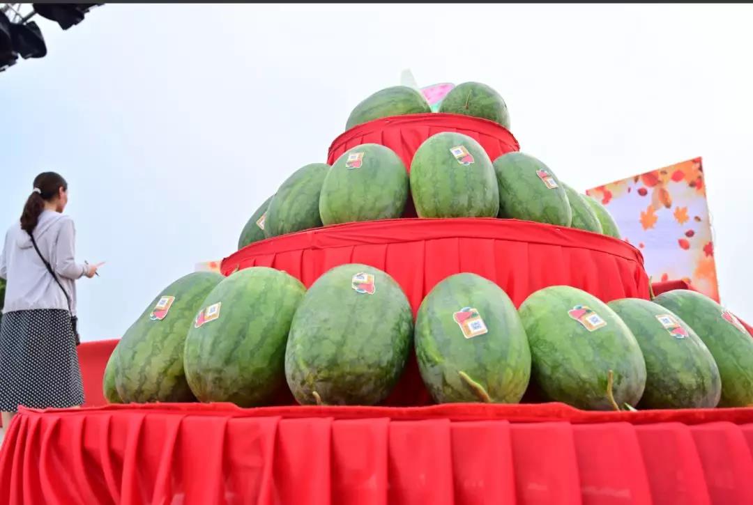 瓜王争霸吃瓜比赛鄄城引马举办首届西瓜节