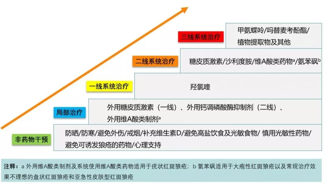 皮膚型紅斑狼瘡診療指南2019版