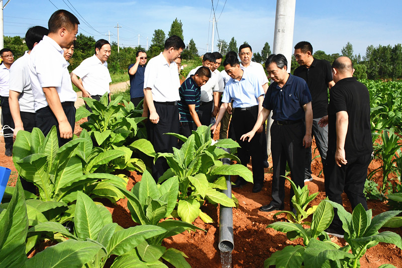国家自然资源督察济南局局长田文彪到我县调研指导耕地保护工作