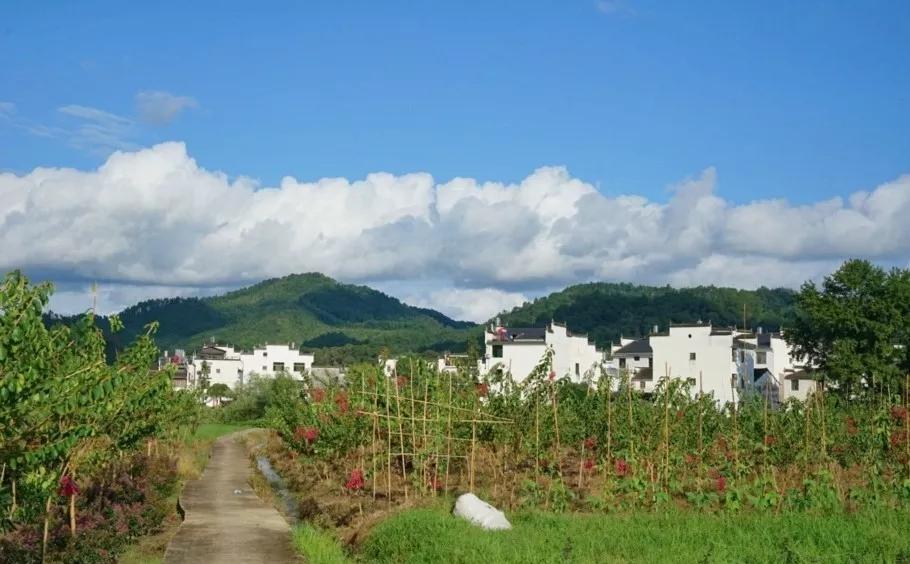 楝树下的家,若是古代必是解甲归田理想之地