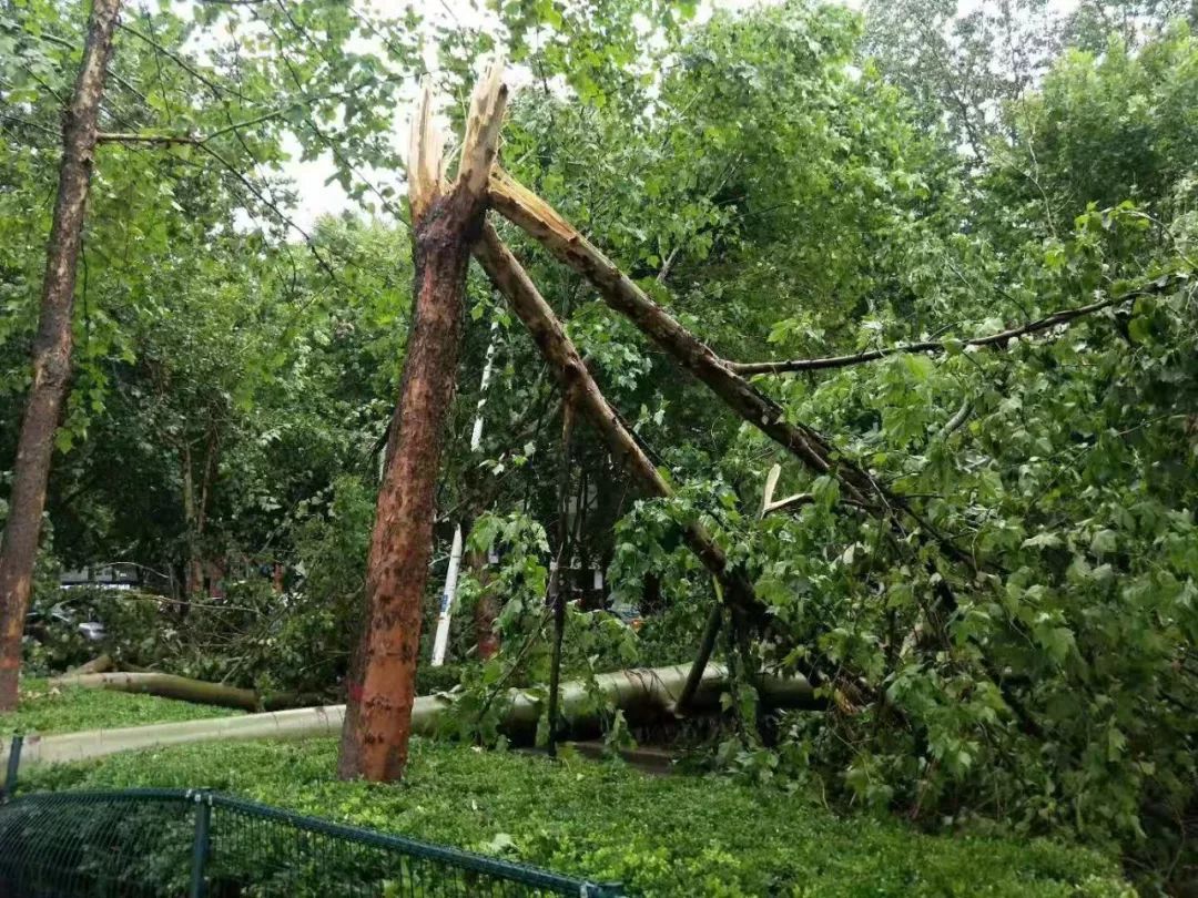 今天下午的长治被这一景象刷屏了,明天部分地区有暴雨