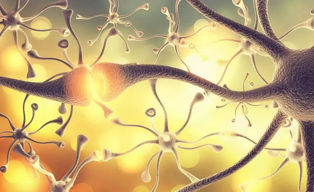 糖尿病自主神经植物神经病变的表现有哪些