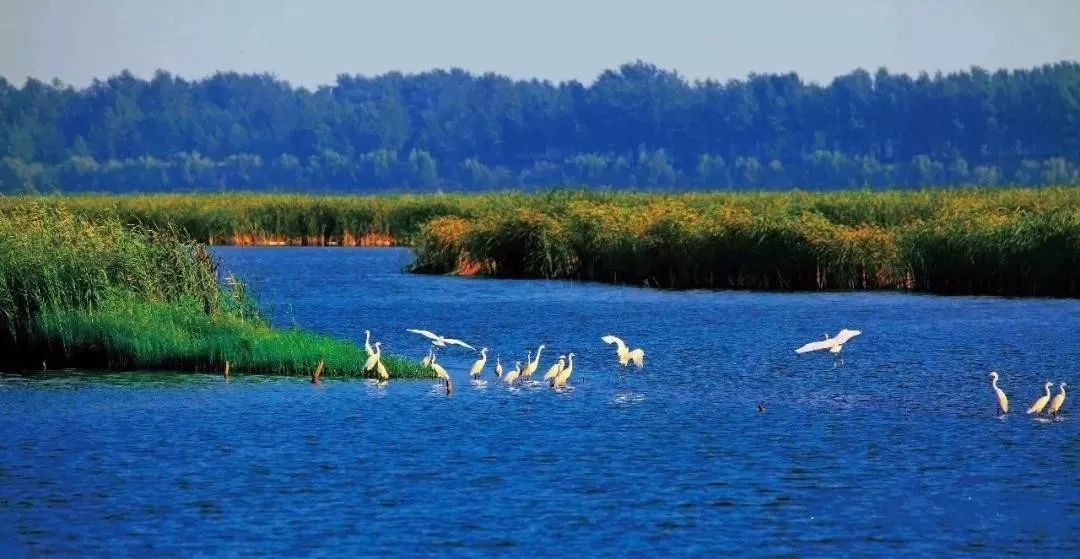 山东单县全域旅游文化节之那山那水那人