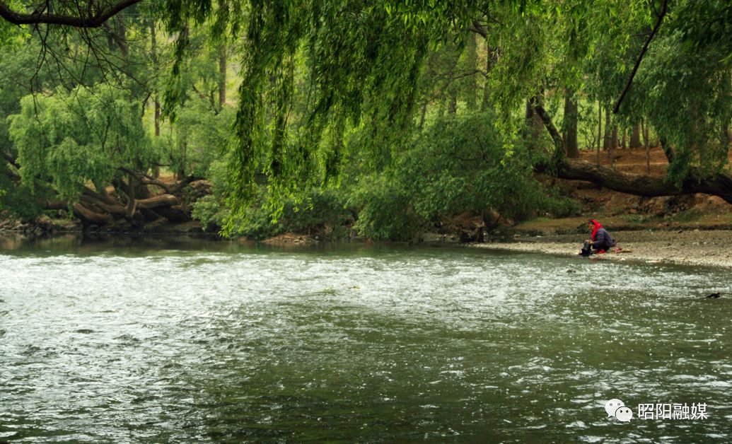 生活如诗景如画来赏洒渔烟柳吧趁阳光正好微风不燥