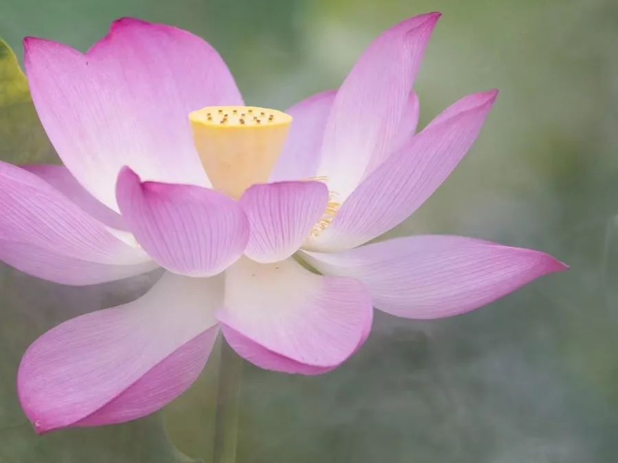 谨以此文献给奔七的你…我连读了三遍,真的非常喜欢!