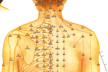 肩髎穴:缓解治疗肩臂痛,上肢麻痹,升清降浊