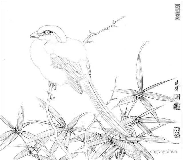 春牡丹青龙卧墨池牡丹羊脂白牡丹赵粉牡丹状元红四条屏-001(牡丹太平