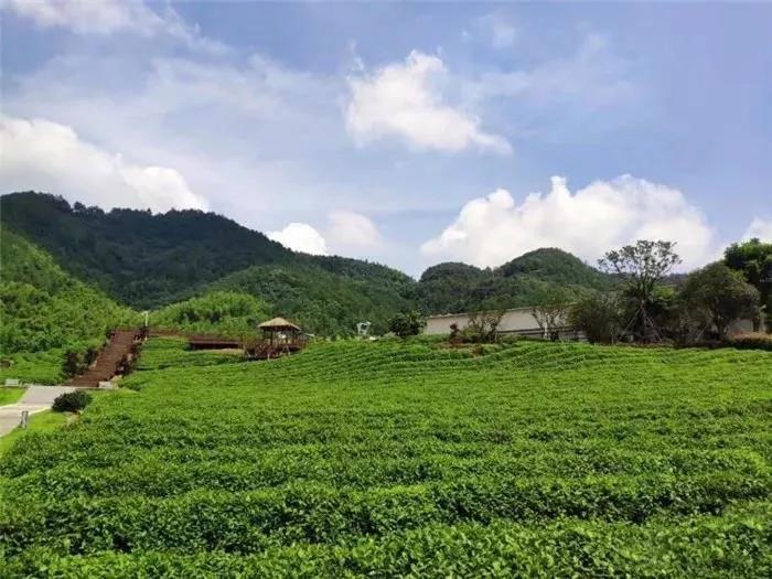诗画风光带上的"明珠"!龙山运动小镇开放啦