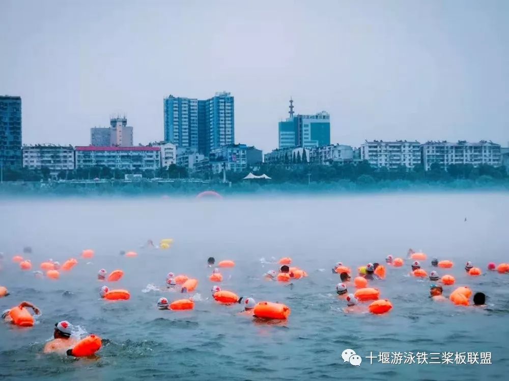 丹江口夏日冬泳活動圓滿落幕