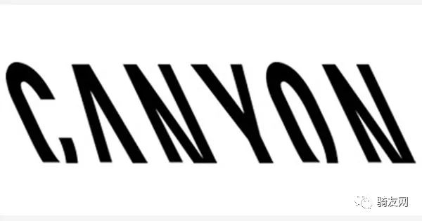 副赞助:canyon德国自行车直销品牌.alpecin是一个德国洗发水品牌.