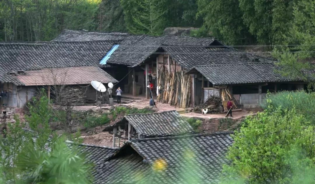 万源这个村获300万元中央财政资金支持