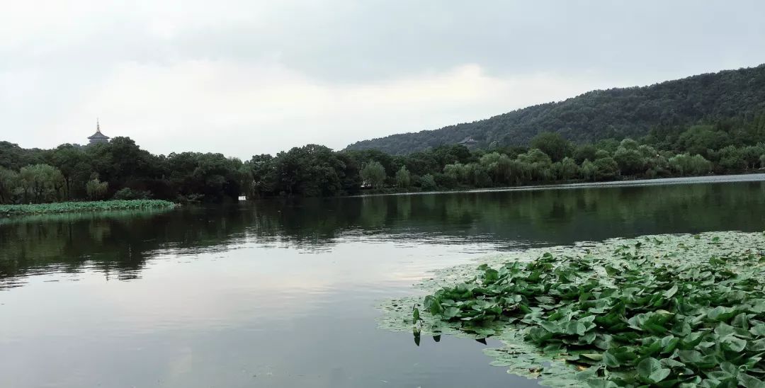 文化考察 丨 荆山越水四时合,吴风楚韵一线牵(三)_杭州