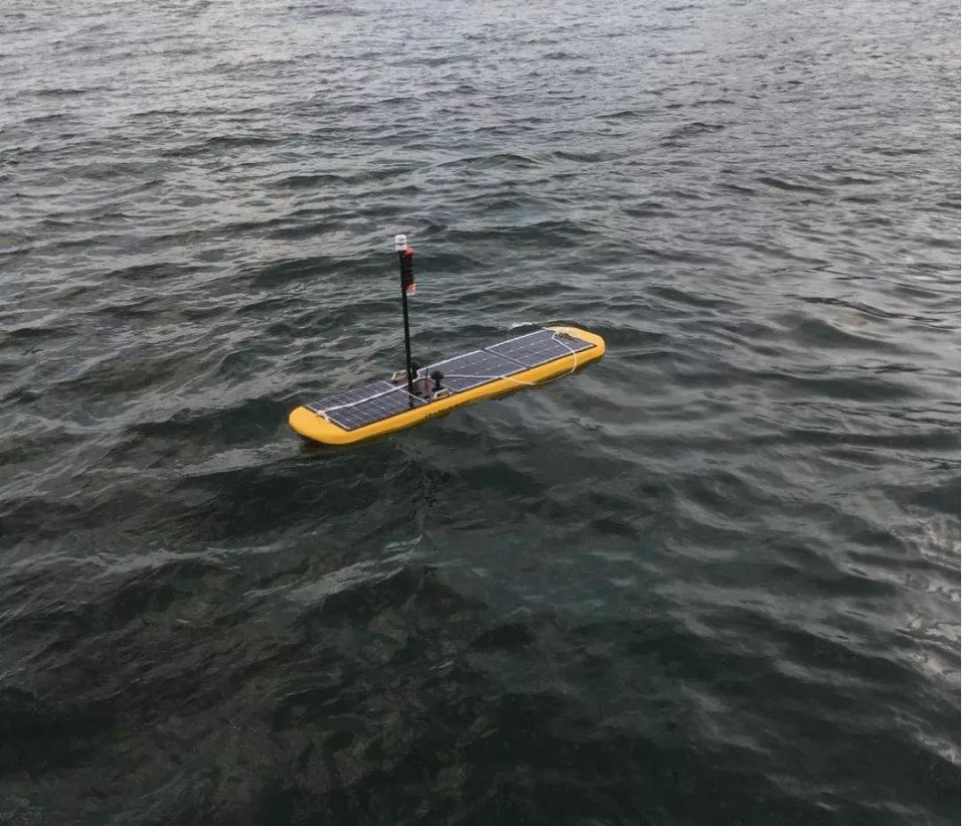 国家海洋技术中心深海室蓝鲸波浪滑翔机在大亚湾海域参加组合观测任务