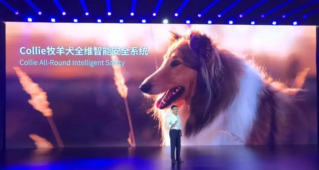 没变？变了！2020款VV6带着“牧羊犬”来了