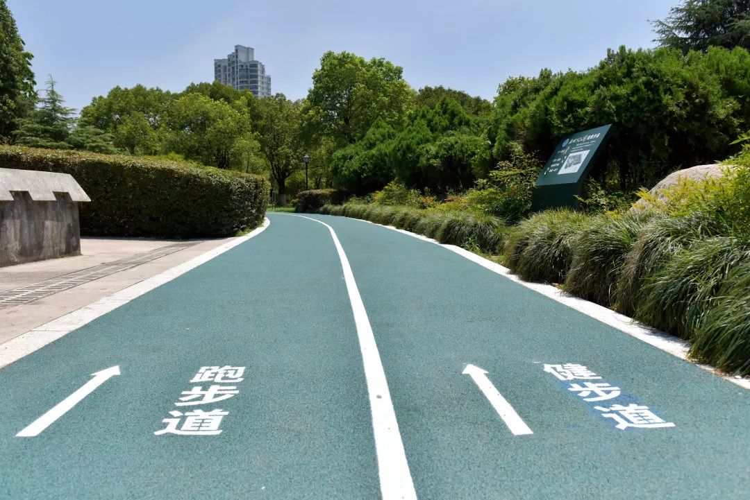 相比过去的水泥路面,色彩清新的塑胶跑道让人感觉心情愉悦和放松,走在