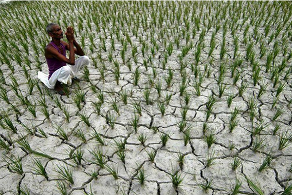 原创印度面临史上最严重的缺水危机!平民都买不起水用
