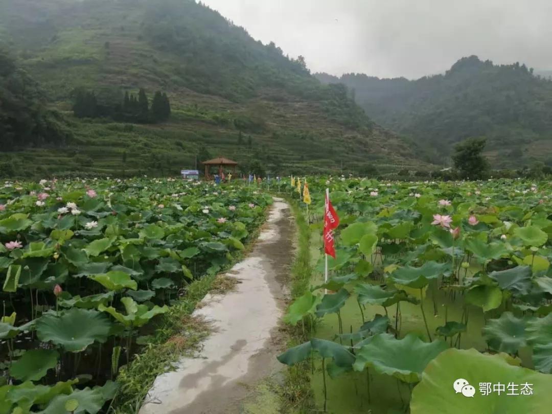 鄂中肥料在當地也小有名氣,反響較好,李高村村主任龍雲明聞訊後,立即