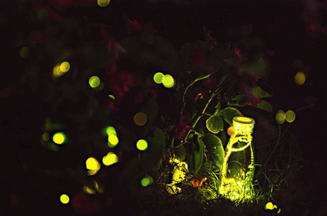 派对动物打卡萤火虫派对&冷烟火晚会·活动时间·8月17日18:00-20:00