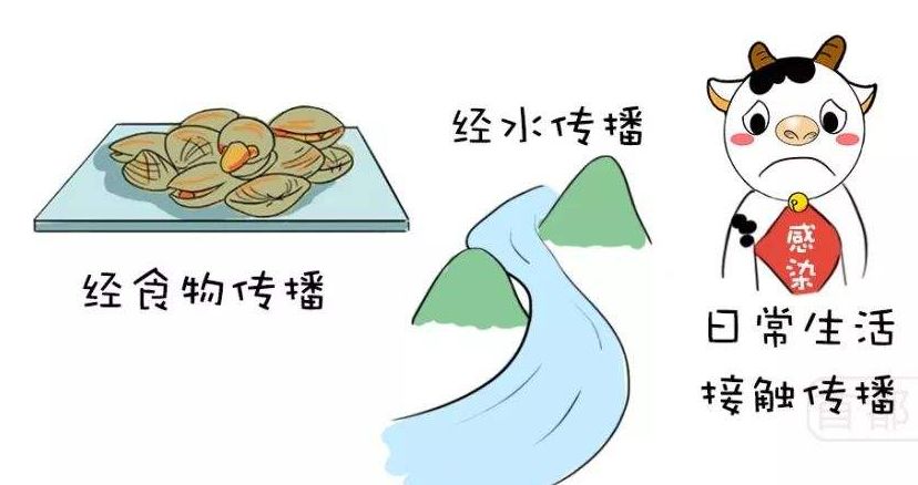 甲乙丙丁戊,肝炎真痛苦;怎么去预防,我来讲清楚!_传播