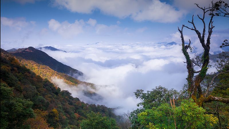 06289连山2天仅此一团金子山看云海壮族戏水节瑶家长桌宴夏日避暑游